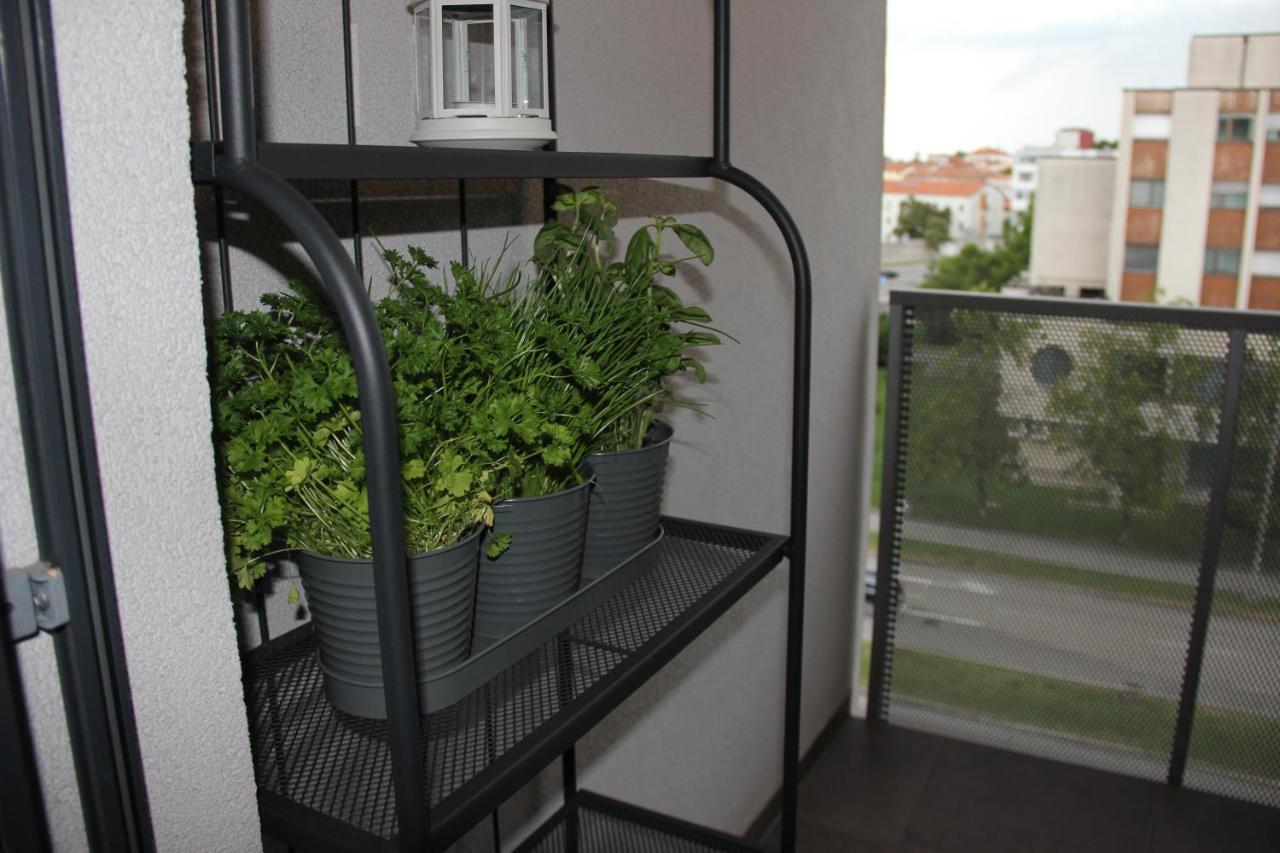 Sea Sun & Me Apartment كوبر المظهر الخارجي الصورة