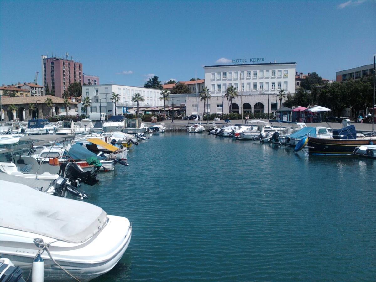 Sea Sun & Me Apartment كوبر المظهر الخارجي الصورة